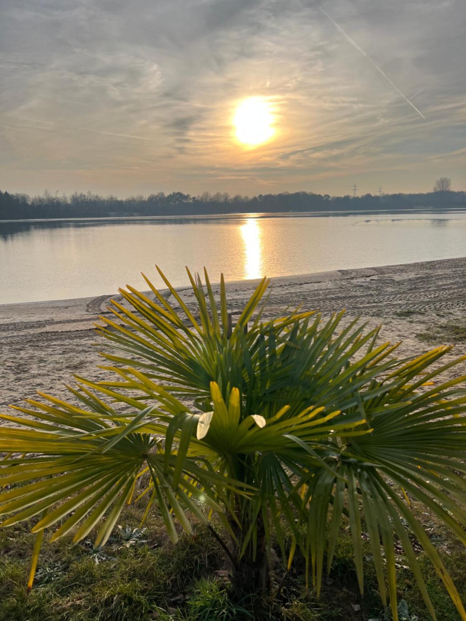 Haus Schoensee Heede Esterno foto